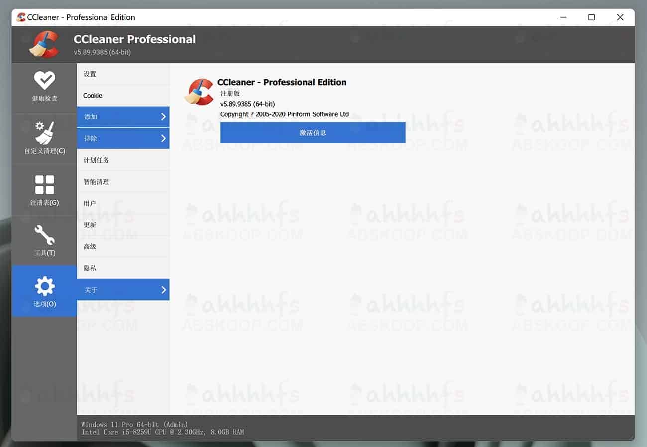 CCleaner v5.89.9385 专业版中文注册便携版