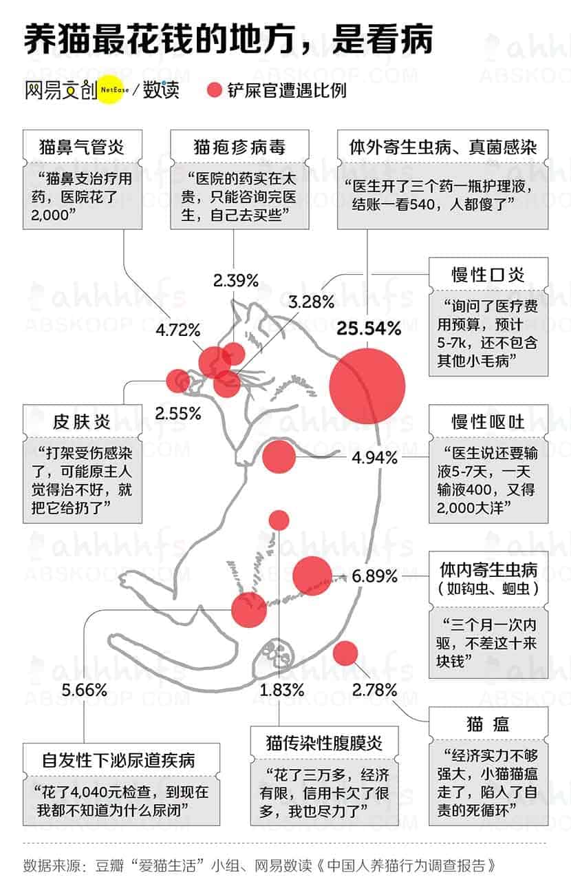 养猫劝退指南，每一条都扎心