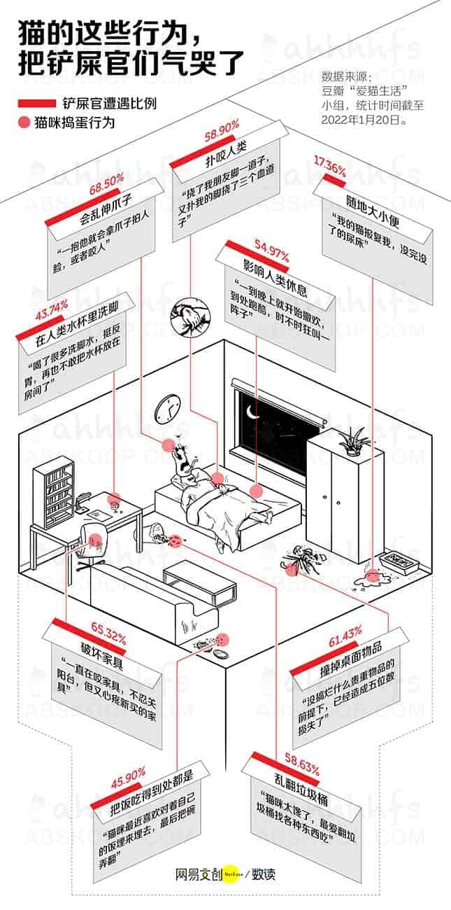 养猫劝退指南，每一条都扎心