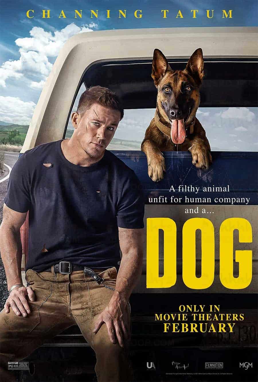 忠犬 Dog 2022 完整版云盘下载观看 2160p 4k中字